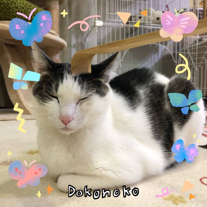 01b2af9e dcd8 4d1b 832d 8231a27bbc3f 1711356020416