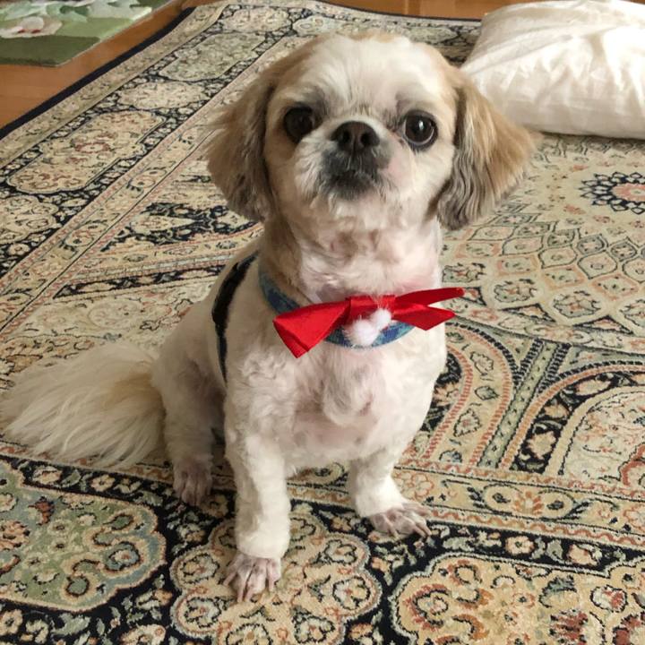 01b30e7f af1c 4349 8028 dd62c29c39e6 1576980985673