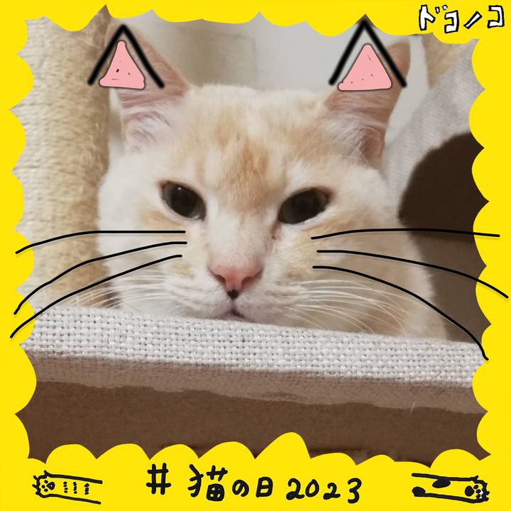 01b338b4 af39 48ae a237 f34d0ef51d28 1677066985733