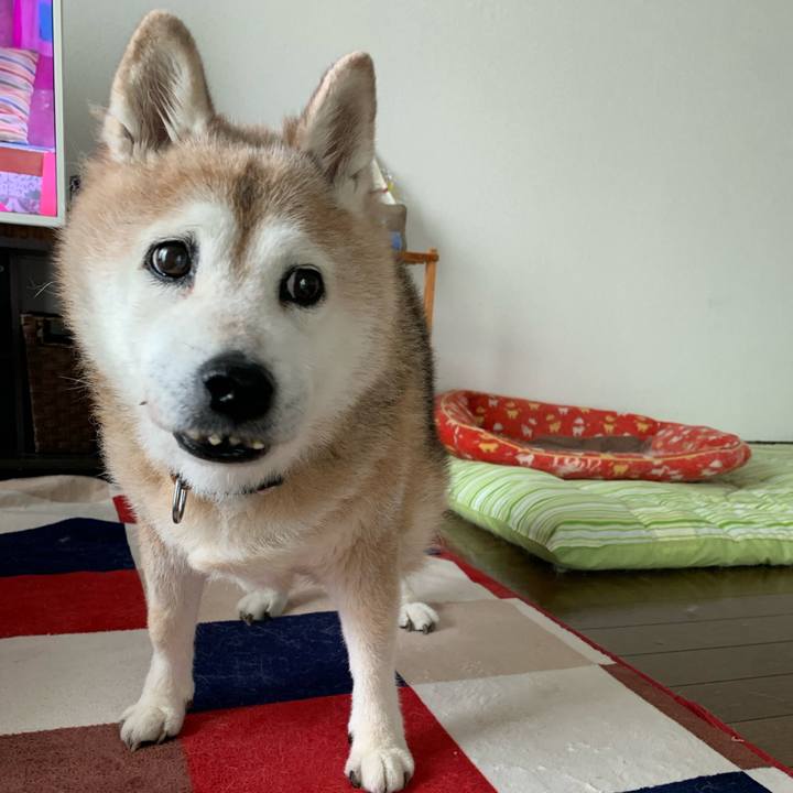 01b35ba5 7975 48ed b19b 9d705e7c95e1 1658029035516