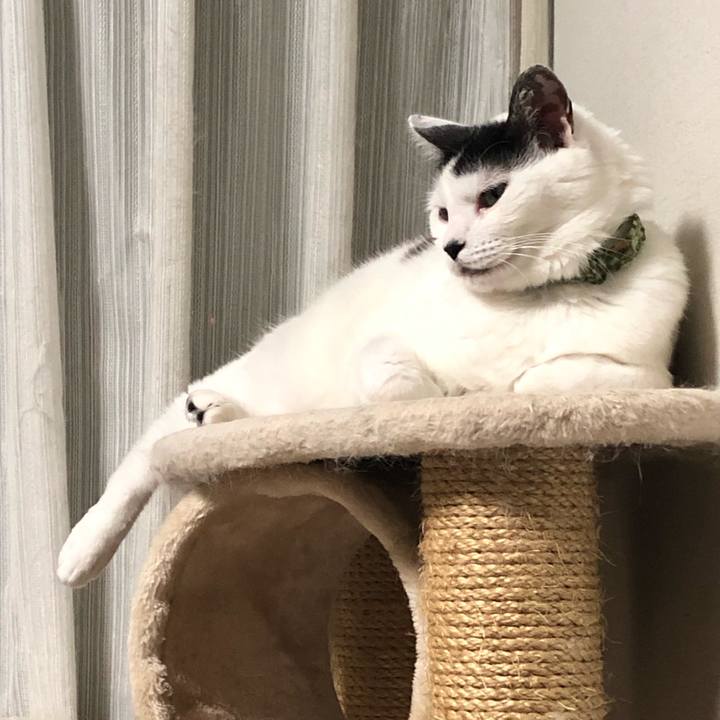 01b3866f c47b 42c1 a463 5d08bfa18ffe 1563622733079