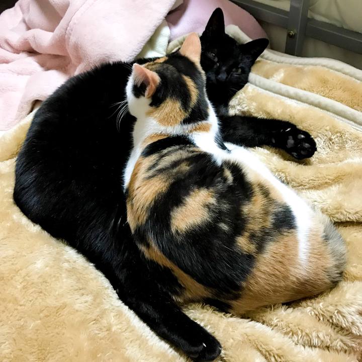 01b39396 fa6c 48ea bd47 eedf829fc38b 1516583248257