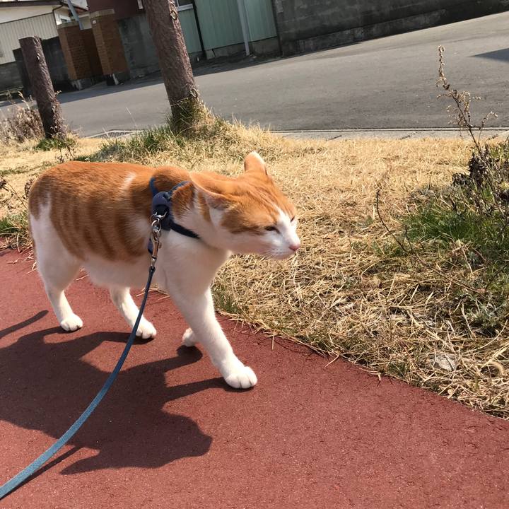 01b39cdb 33e8 4479 b60d 7e4545980fe7 1521957449107