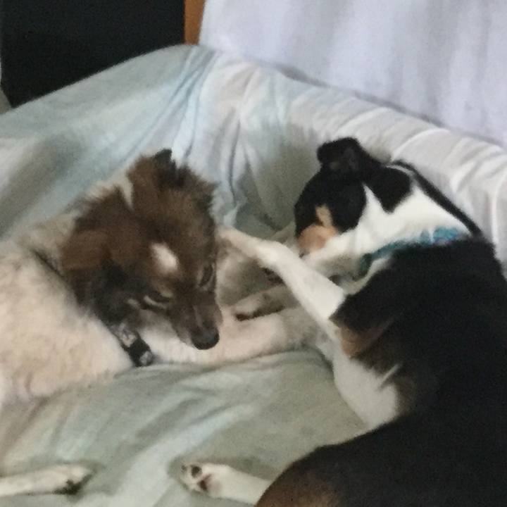 01b3a69b 1add 48d1 9e75 035f8f4ff8b5 1588054071963