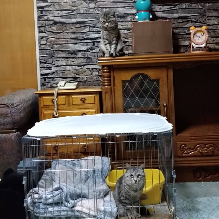 01b3c286 8221 4389 890a 3253ee95a326 1601113732524