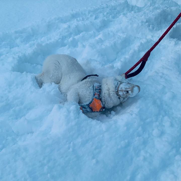 01b3e5b9 9a06 4e85 a21f a33f0348e4e6 1675636891484