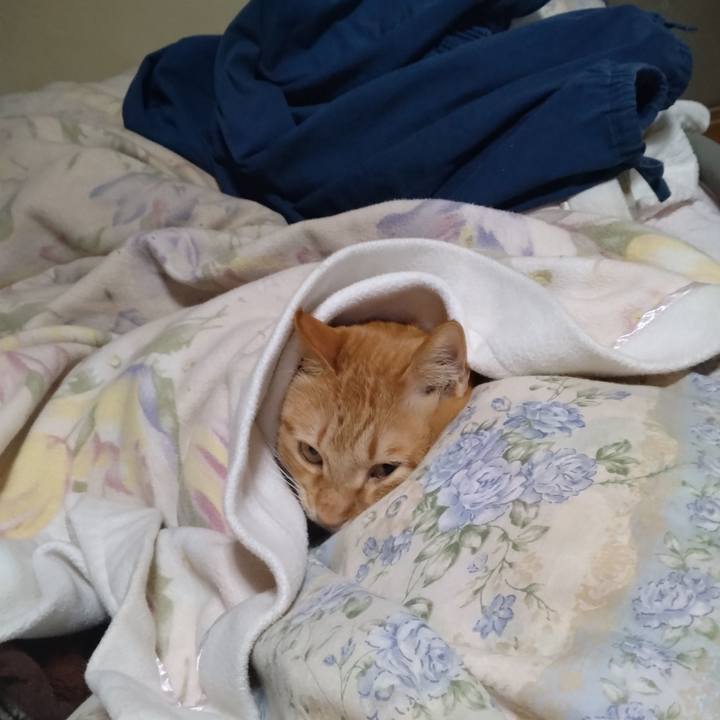 01b3f24b 3028 41da acf1 681c3876c3ee 1708485600366