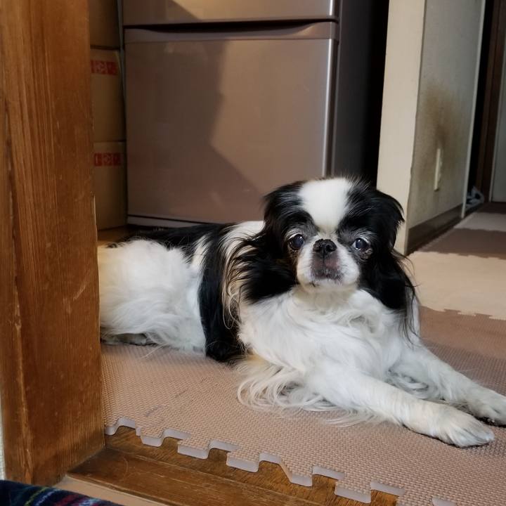 01b412cc 111a 4a65 afcd 111092fe0c2b 1553251403892