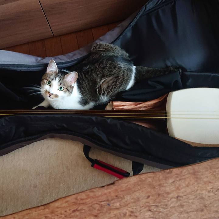 01b41885 552c 43cd aaf4 16590f743aba 1654914763737