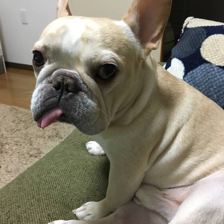 01b41e2b 05f8 409c b59a d430e757b3db 1512481847417