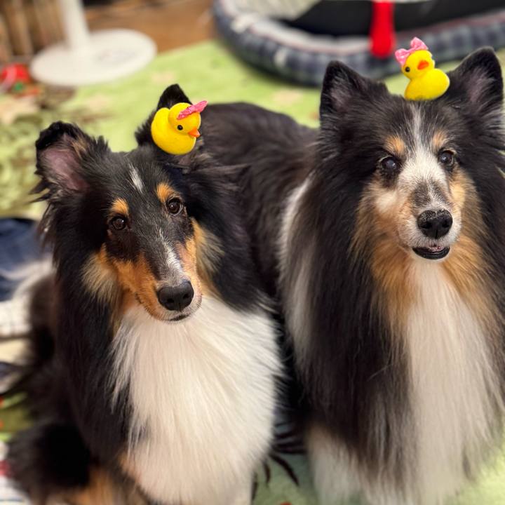 01b4723b 5797 4956 ae68 be0ad278a199 1755709177548