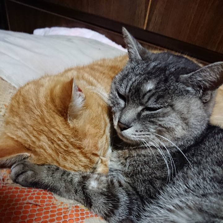 01b4b42b 3e95 4885 bda6 b9c8f057a657 1584449276353