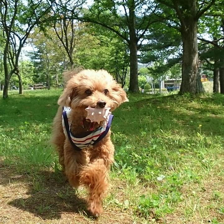 01b4c343 d06b 45fa 876c c079aeb65d8b 1530320569119