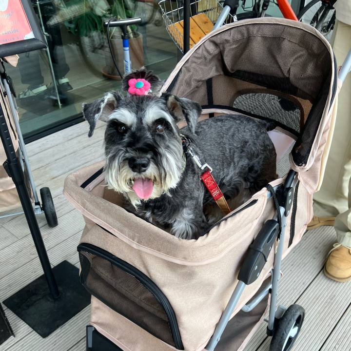 01b4e35c 7a8c 4664 93d5 aee173f77216 1721544228169