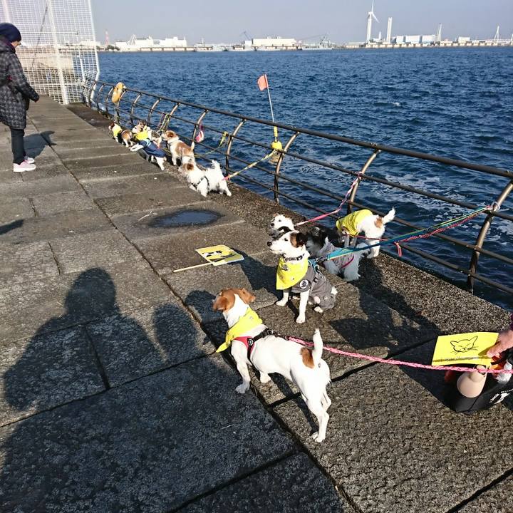 01b507d6 d2fe 4487 a4bb 6792cc246a51 1516510875347