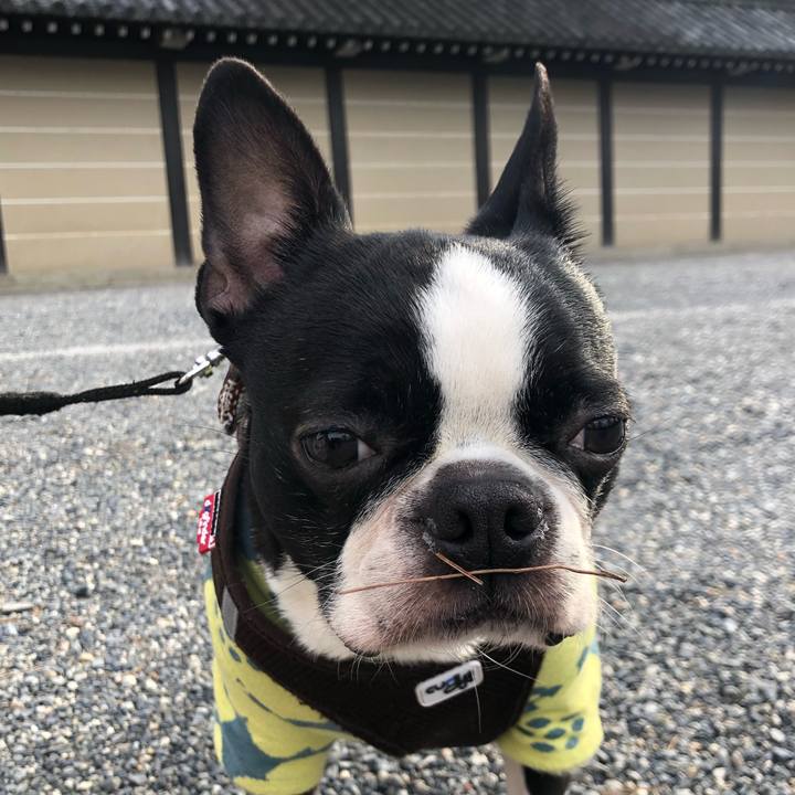 01b509e3 7c57 4518 9eec 24d2dd205d38 1583741513294