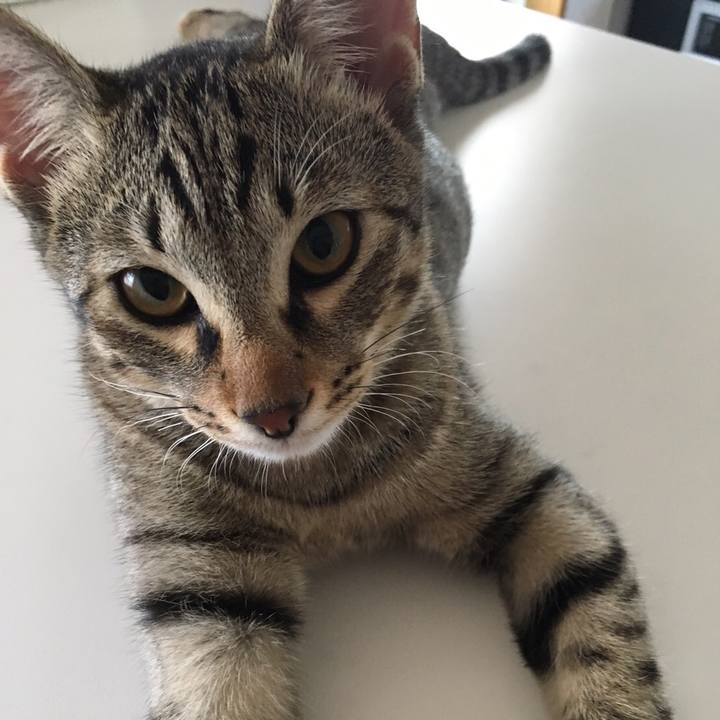 01b5583e b0f6 4a6b 9e26 681235d2237f 1507801712243