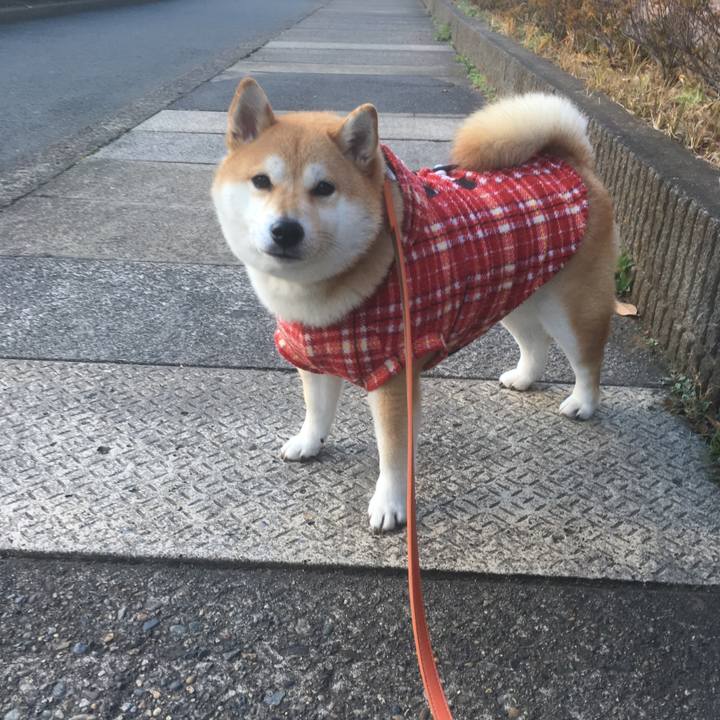 01b57a6b 9aa7 42aa a1c9 7e05d244f2b3 1545632476433