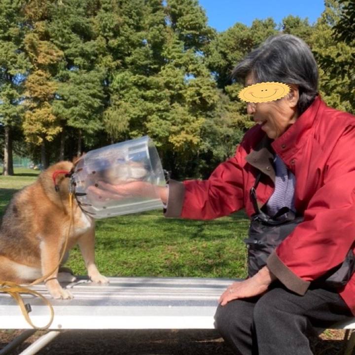 01b59999 8038 4c2f b755 18bb195b00c2 1666936462083