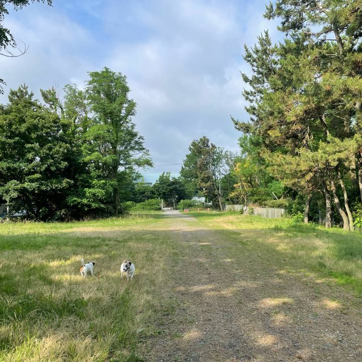 01b5a3fa 922d 4267 8db6 1170f87b8b5c 1720137426262