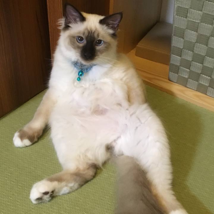 01b5f61a 6ab1 4621 9b97 7d389bf4558b 1510321916021