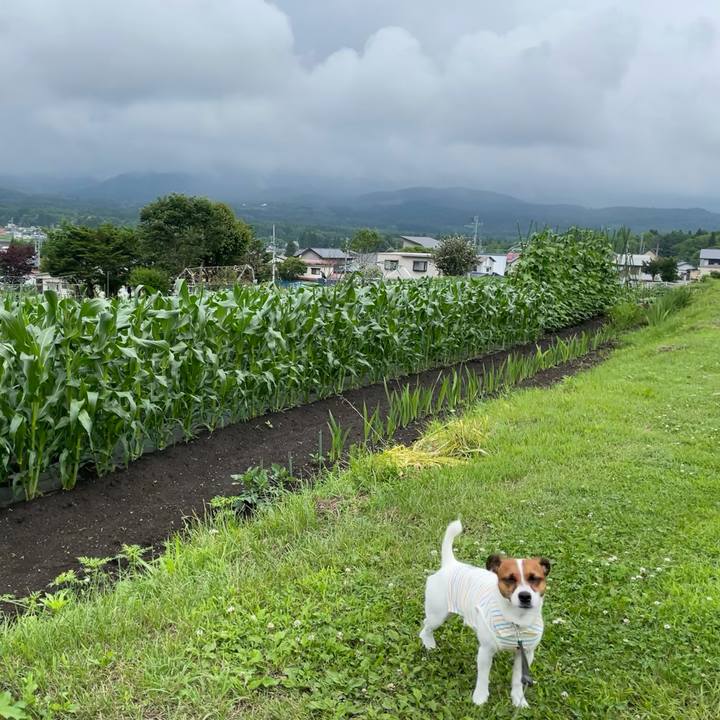 01b5fef8 77a6 4e6c 923a 4ac5b54c86cc 1624942233638