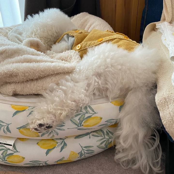 01b61015 85bf 4a16 81fc 8a6adc8738e5 1643869651793