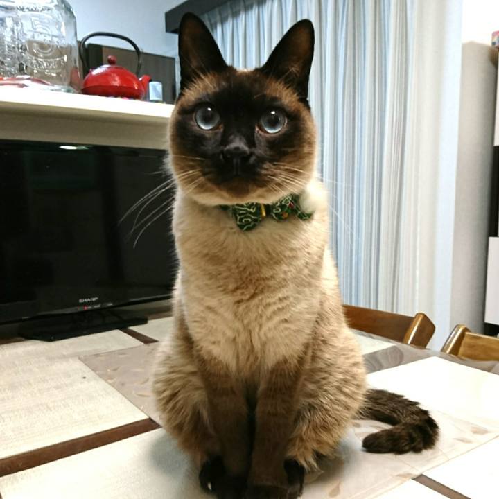 01b61723 6d31 4cd4 9dac 46a93b6bbaa4 1524618364577