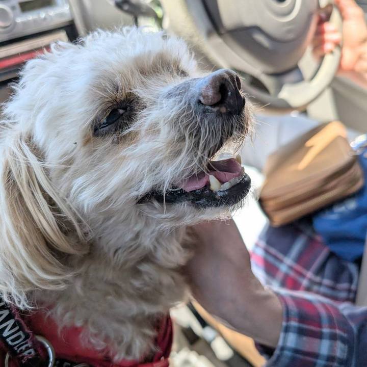 01b625fe a8cc 4224 8c16 2023590fb46b 1745500802800