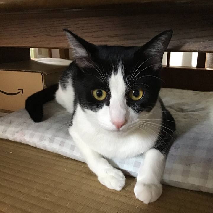 01b640e4 530f 45c5 b477 f18d8a060aa0 1654850821944