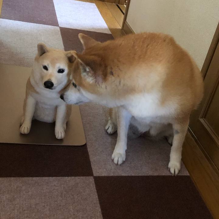 01b650c3 3c6e 4673 b178 4831a636b8ee 1558788156183