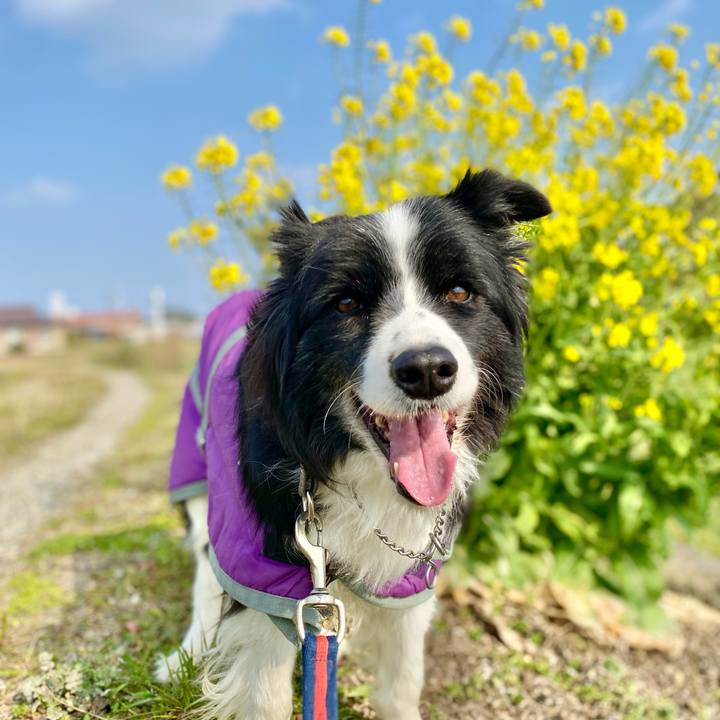 01b65101 605d 446f 8d06 0430ee2b74fd 1707619465885