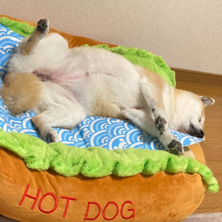 01b6a370 7fa4 4a32 b7e4 6c3c08bdc9ed 1623501713751