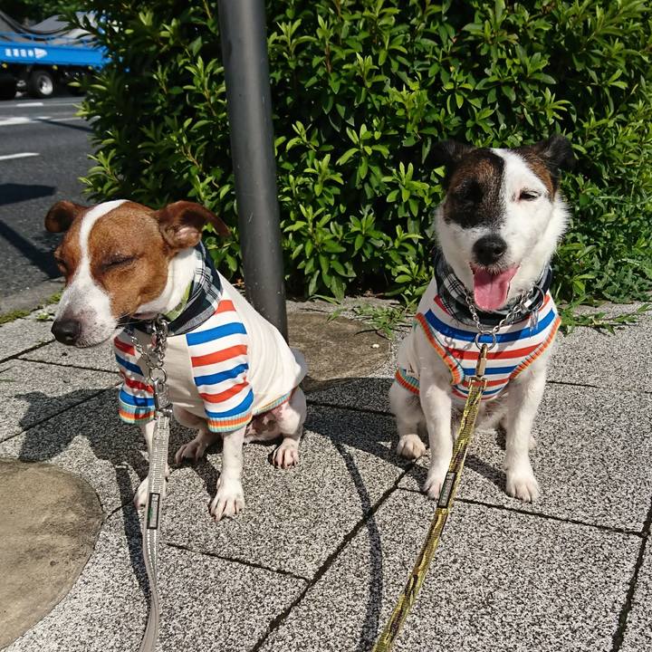 01b6d4f5 b788 4c35 ada1 6328d3fd1b6a 1593383950168