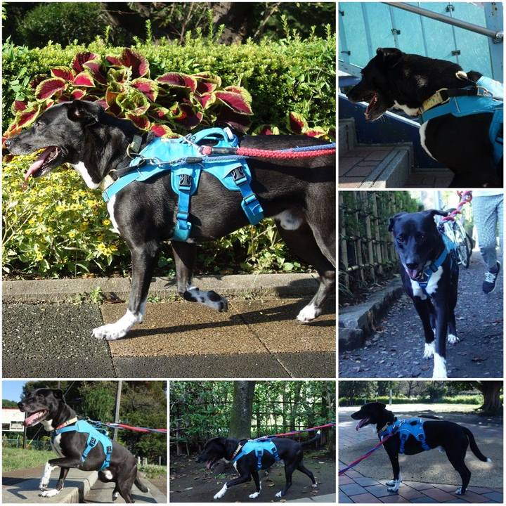 01b732dc c600 4428 adee e1b5021a3212 1633220535025