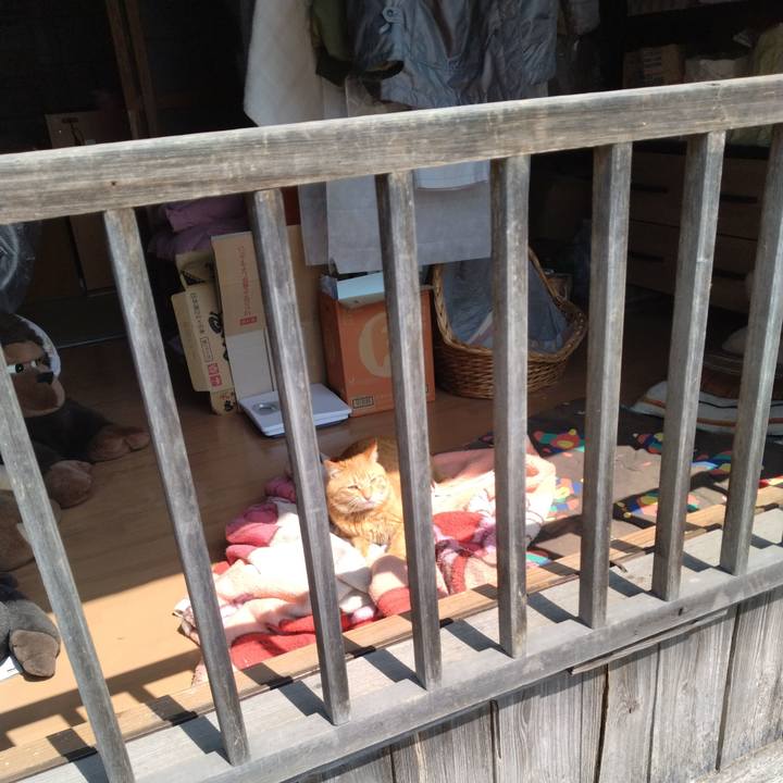 01b75020 b1a0 48fa 8016 cf74dc928702 1680242067269