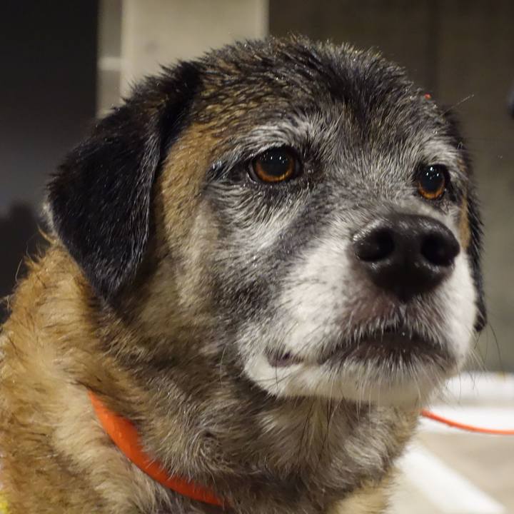 01b76660 c209 4f75 ae0a 06eafa9370bc 1619311411486