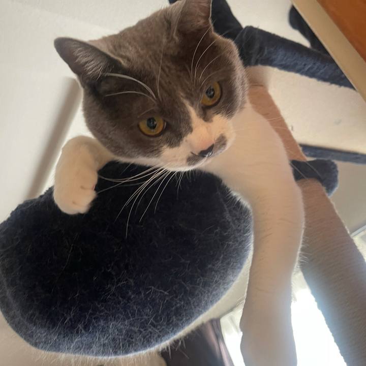 01b782ab d1d4 4ec1 9923 b79a938224c3 1646605717424