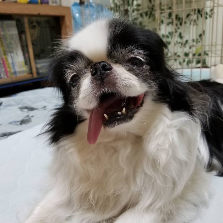 01b78f9e f9f1 4598 a9ab 40c9ecc712f1 1530186800213