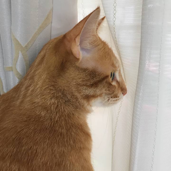 01b7952b b998 465e a3fb 00deca5837bb 1522892702759