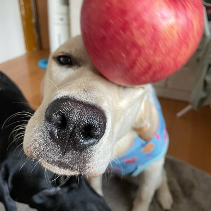 01b7cdf2 6075 4770 bee9 72e305a350f6 1624598027521