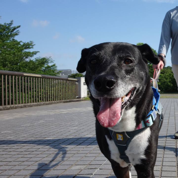 01b7d8b4 beea 4197 8560 9ae1b200b788 1748391707856