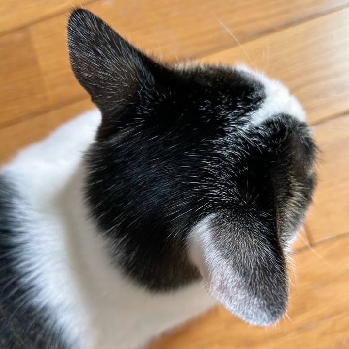 01b7e360 dccf 4d98 967b 325e6aed0041 1719672520197