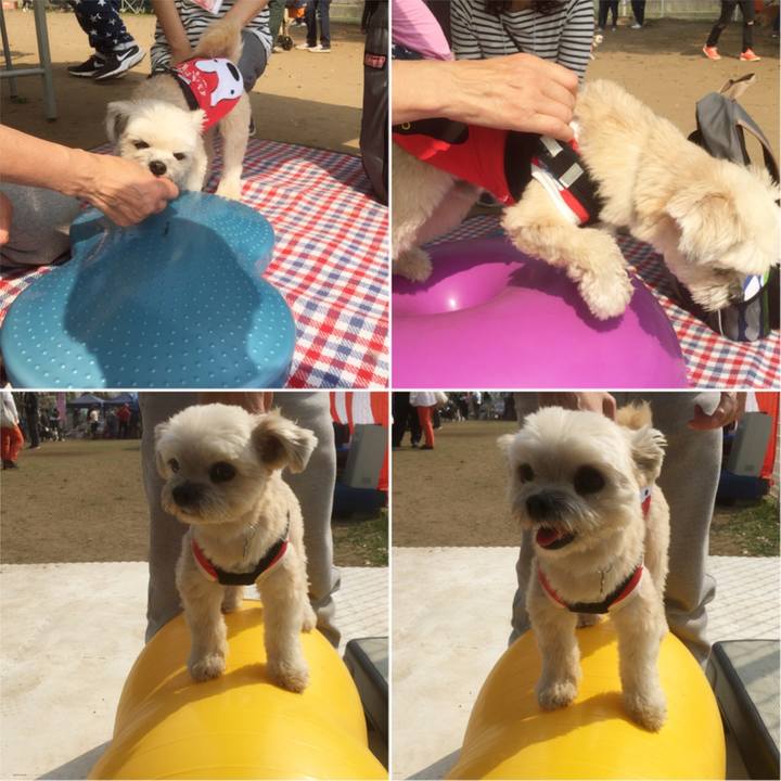 01b7eae8 827e 4fe2 87f7 d2866fd21a2c 1554625110846