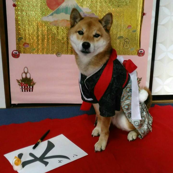 01b80ffc 091f 4817 a7cc e0003718717a 1514732479503