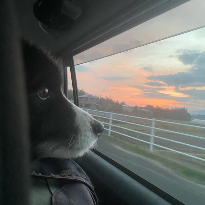 01b85196 f7e9 4542 9d16 591b7cd5c32a 1670364304262