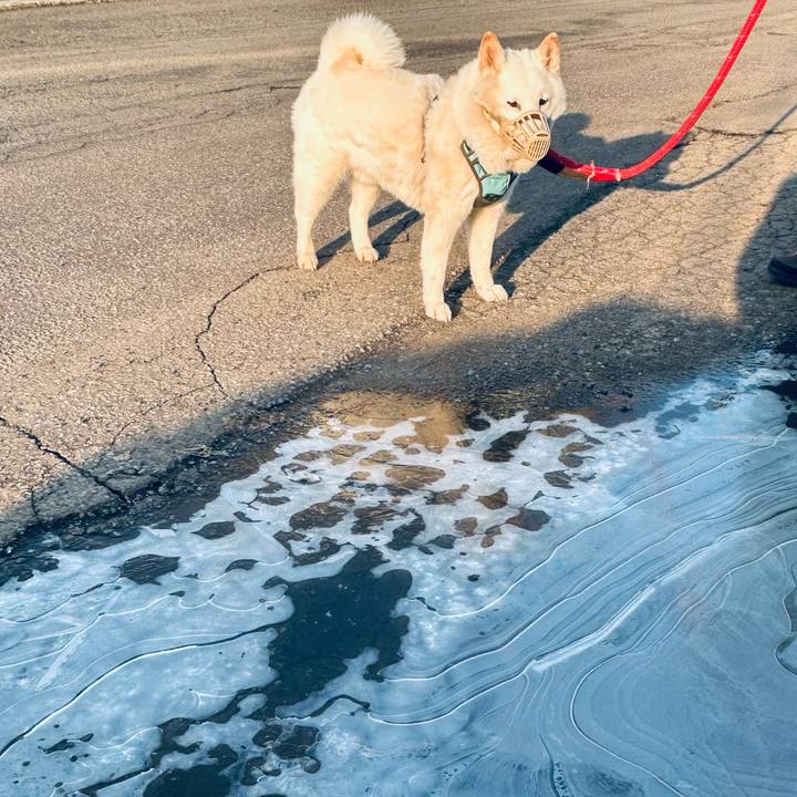 01b86501 7169 492e 98d1 1d838cb070e5 1773959382248