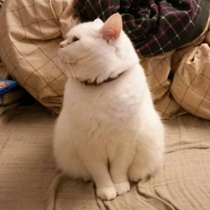 01b86c18 b184 41d9 ae57 92c2f72c6be2 1508453479136