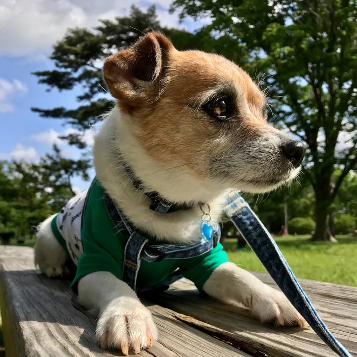 01b88c2c 2f10 45b2 aa03 9938bfd81511 1590279621430