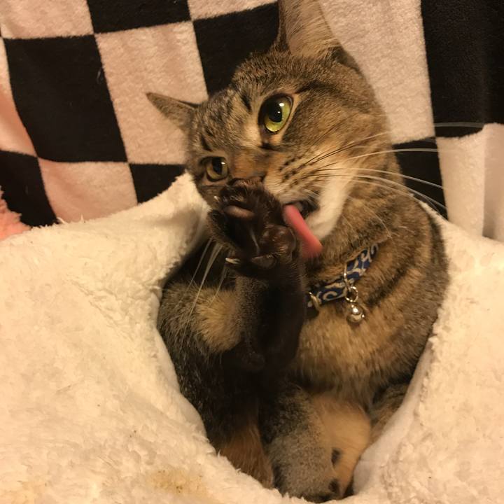 01b891d7 d6db 4d61 bc7d c8f5e41cf3c7 1546206209976